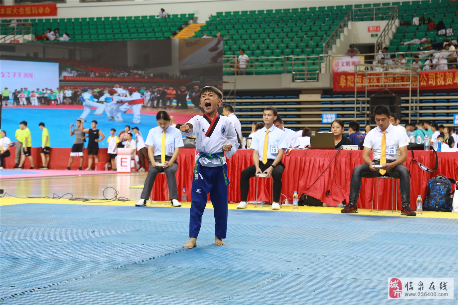 飞速跳动的跆拳道选手，力压群雄登顶的简单介绍