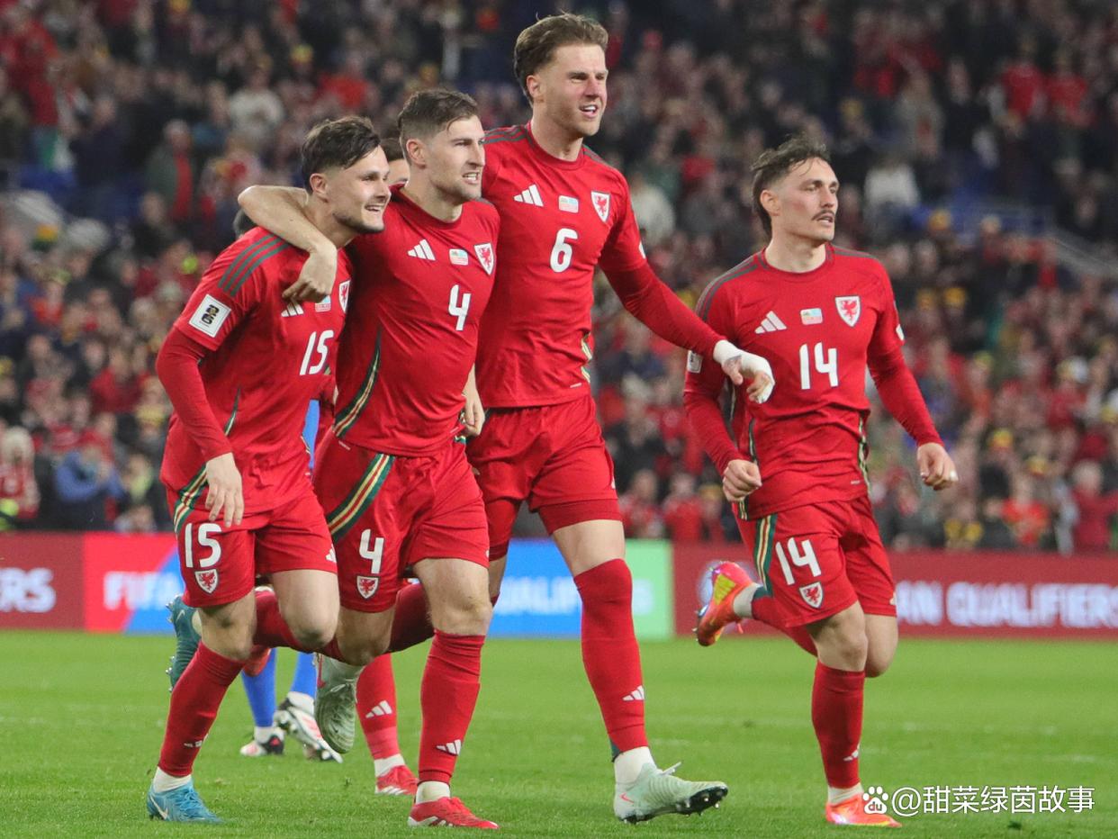 包含比利时对阵威尔士,双方球队实力对比的词条 包含比利时对阵威尔士,双方球队实力对比的词条